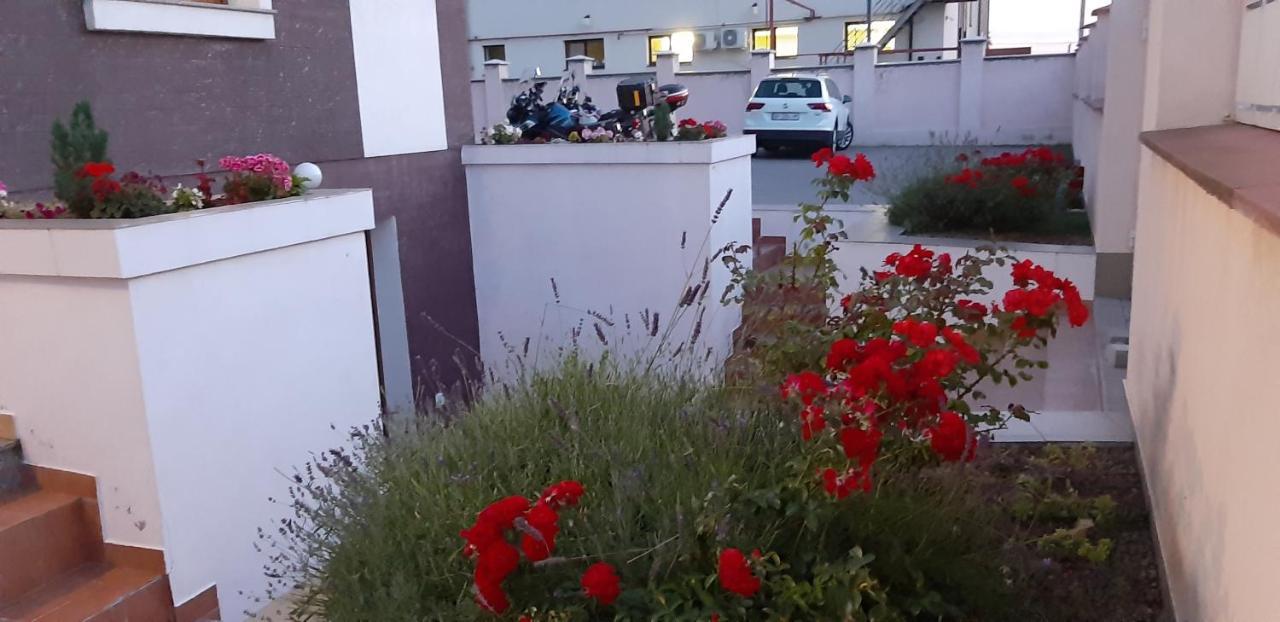 Vila Family Cricova Екстериор снимка