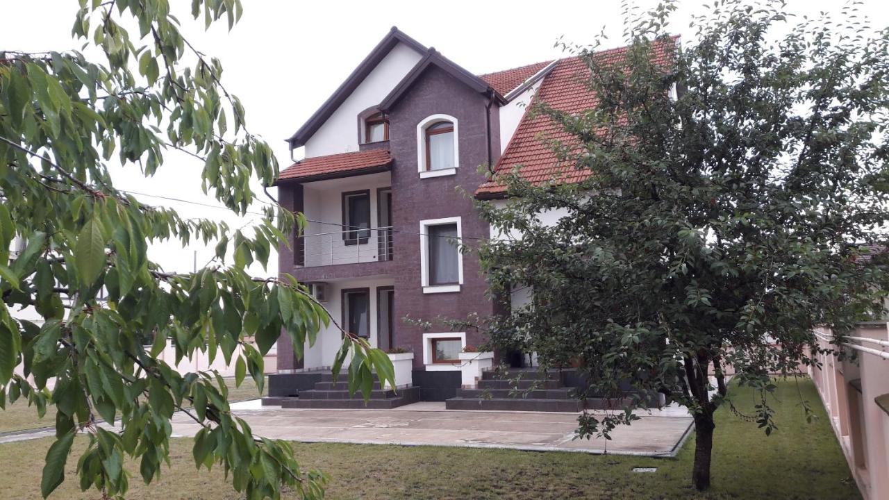 Vila Family Cricova Екстериор снимка